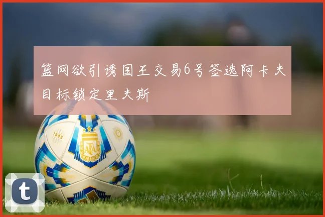 篮网欲引诱国王交易6号签选阿卡夫目标锁定里夫斯