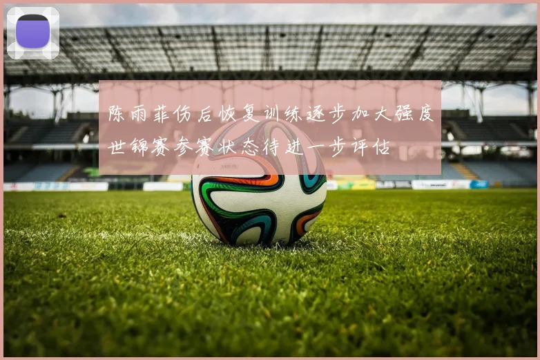 陈雨菲伤后恢复训练逐步加大强度世锦赛参赛状态待进一步评估